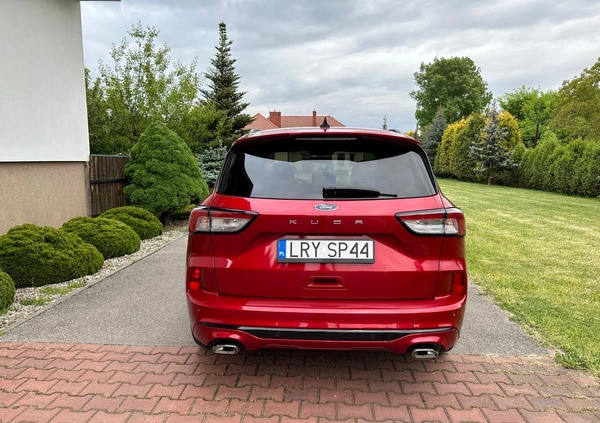 Ford Kuga cena 101000 przebieg: 21700, rok produkcji 2020 z Wilamowice małe 742